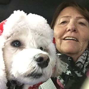 Meet your Posher, Paulette